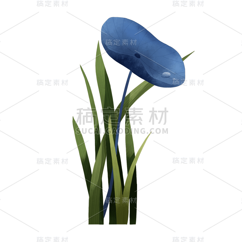 中国风-手绘植物花卉-草丛