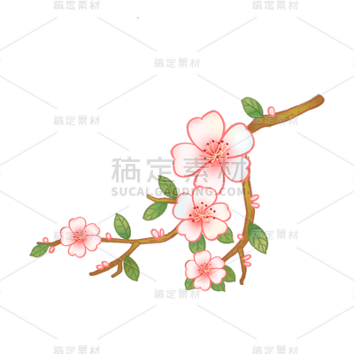 手绘-中国风植物插画-桃花