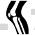 Knee Joint