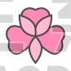 Flower, Alstroemeria, Blossom, Nature, Spring