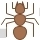 Ant