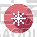 Snowflake