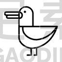 waved albatross