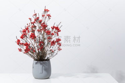 植物系列写实风花卉