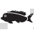 Arowana