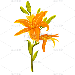 手绘-清新花卉植物元素贴纸1