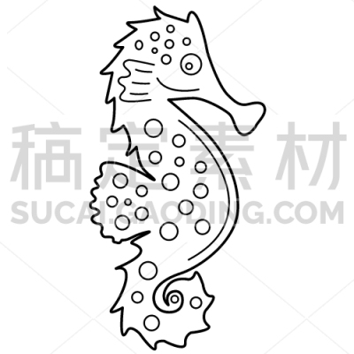 Seahorse