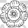 Flower Design