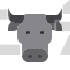 buffalo