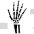 Hand Bones