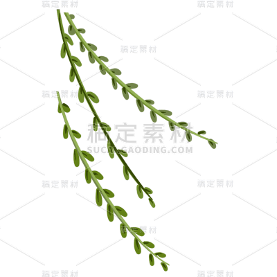 手绘风-植物元素贴纸-柳枝