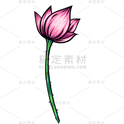 春节国潮风手绘插画贴纸-荷花