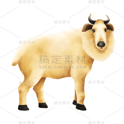 手绘-动物元素-绵羊