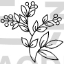 Flower Design