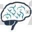 Brain