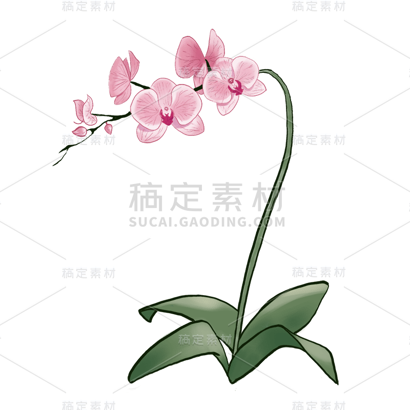 水彩风格-植物花卉贴纸-花卉