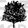 Eco Tree Design
