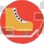 Skates Shoes