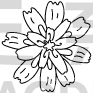 Flower Design