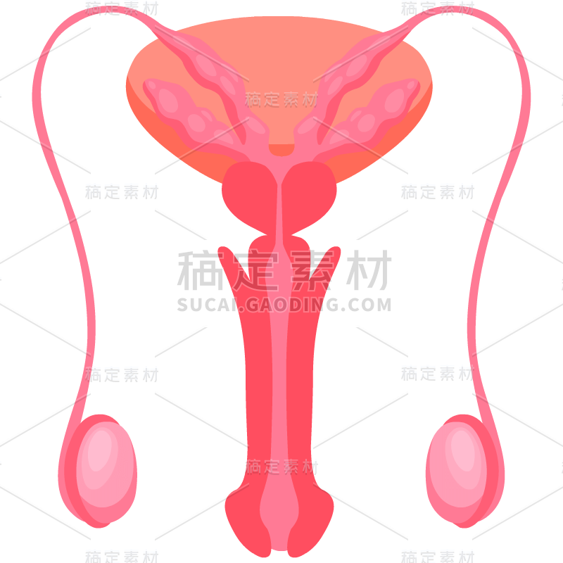 10W-常规-身体器官贴纸1-svg-简单-B