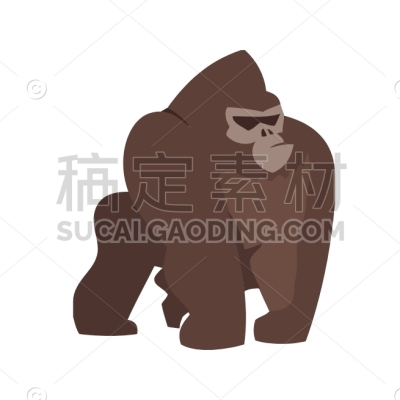 Gorilla
