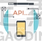 API Interface