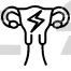 Menstruation