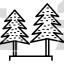 Evergreen Trees
