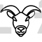 Capricorn