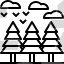 Pine