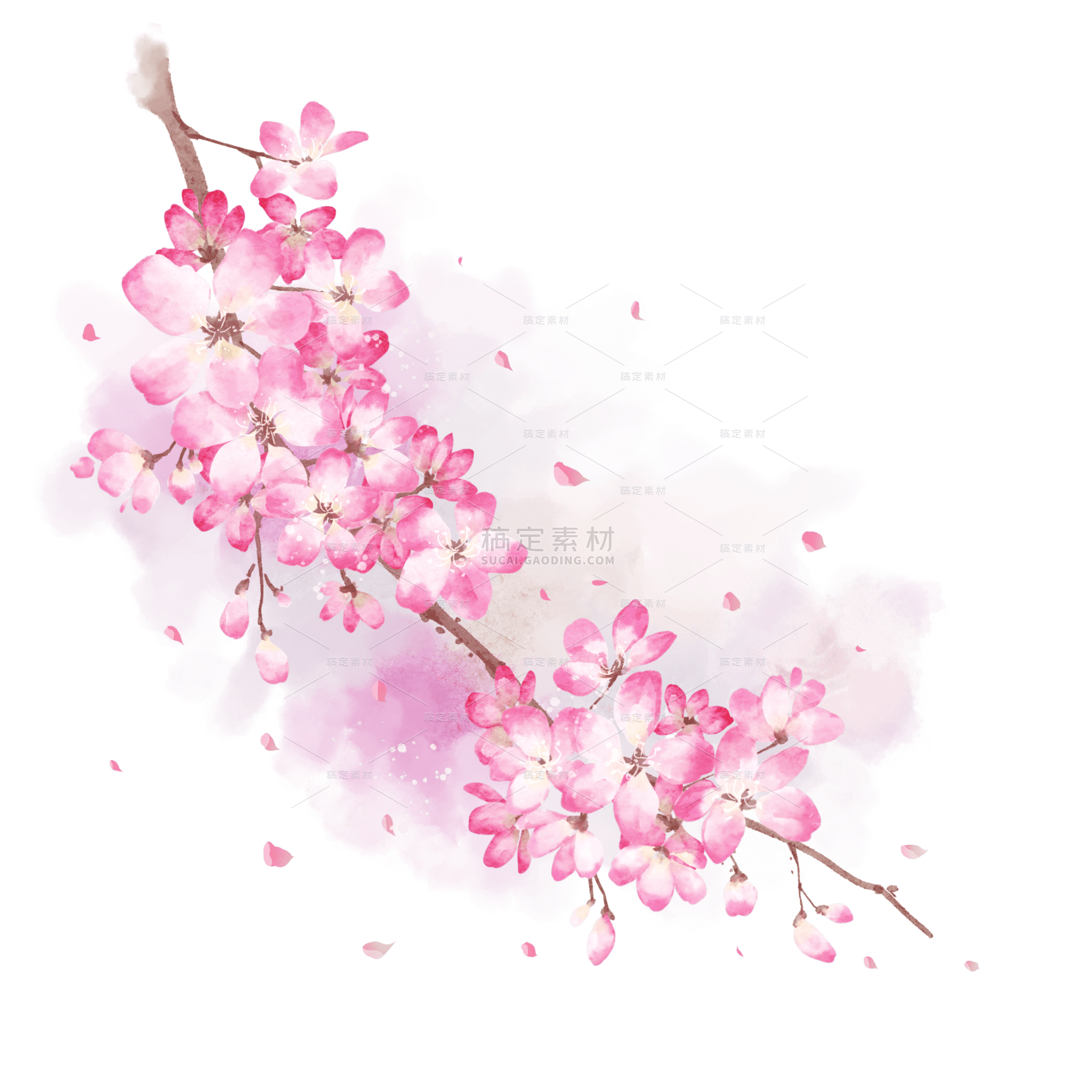 手绘粉色水彩樱花花朵插画元素5