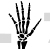 Hand Bone