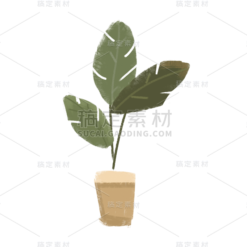 手绘风-植物元素-绿植