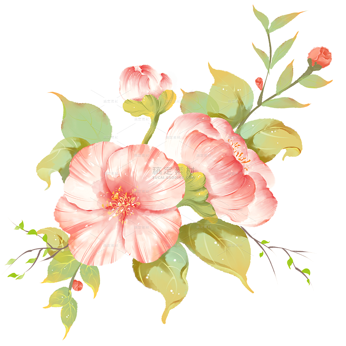 手绘粉色花朵花卉元素