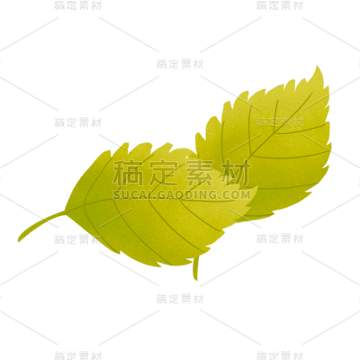 手绘风-植物贴纸-叶子