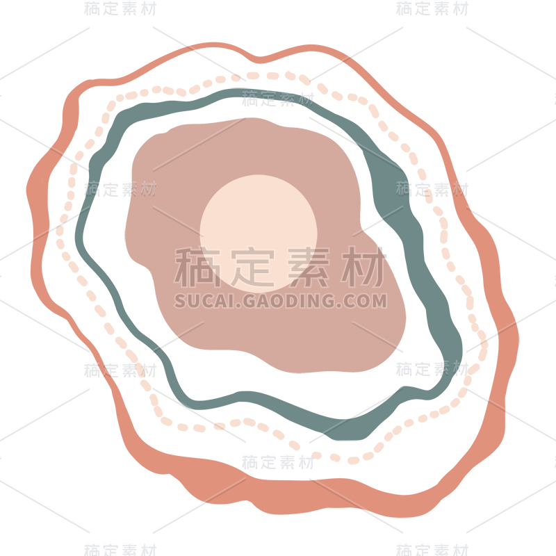 手绘-抽象元素-蚌壳