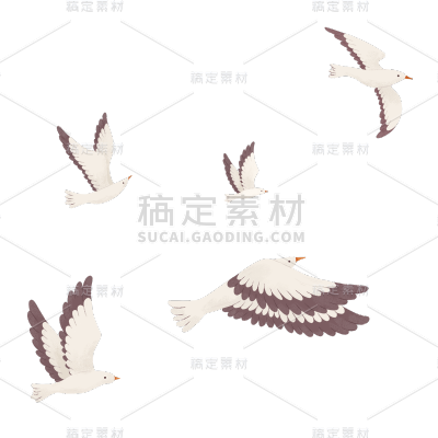 手绘-重阳节主题贴纸-鸽子