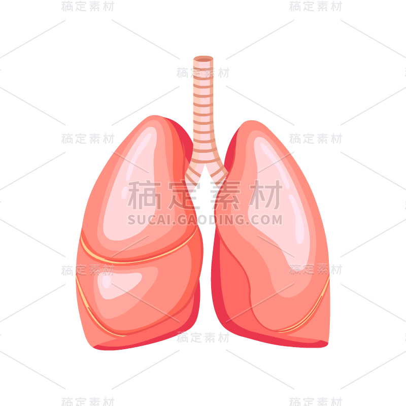 身体器官贴纸1