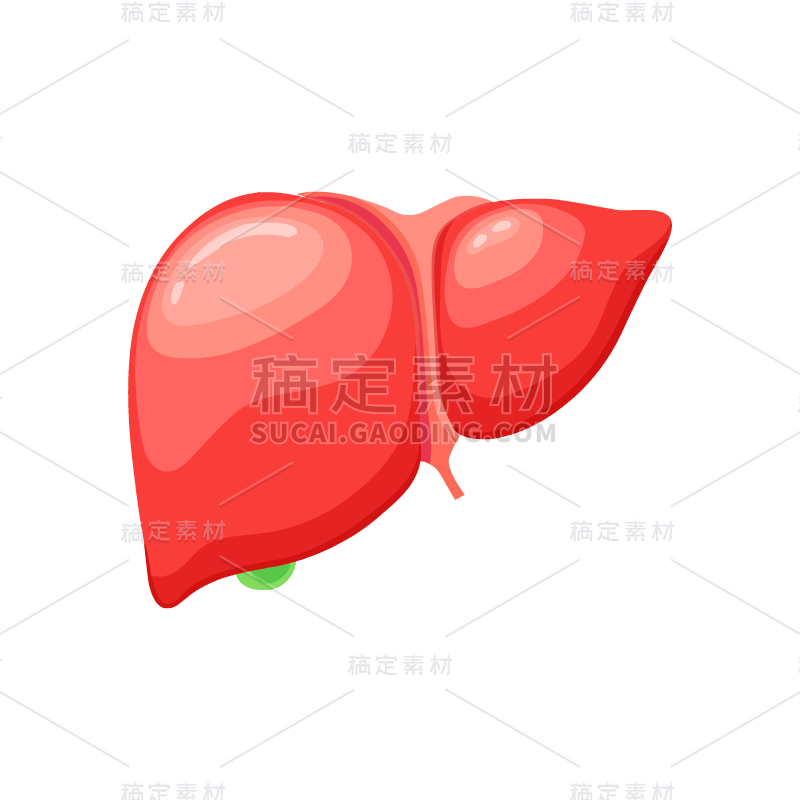 身体器官贴纸1