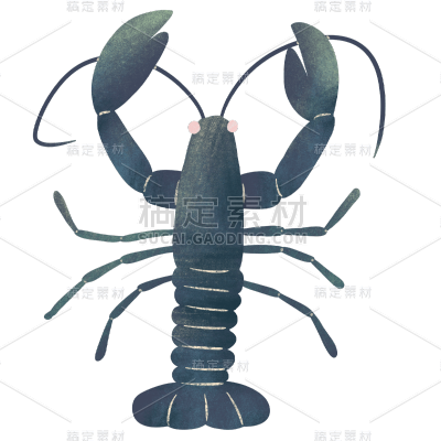 手绘-海鲜贴纸-龙虾