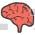 Brain