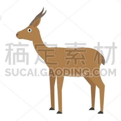 Gazelle Dorkas