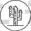 Cacti