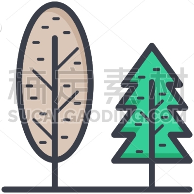 Evergreen Trees