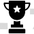 Sports Trophy