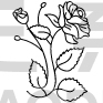 Flower Design