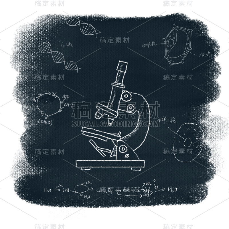 手绘-节点-教师节-粉笔黑板背景