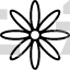 Blossom