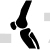 Knee Joint