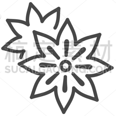 Star Anise